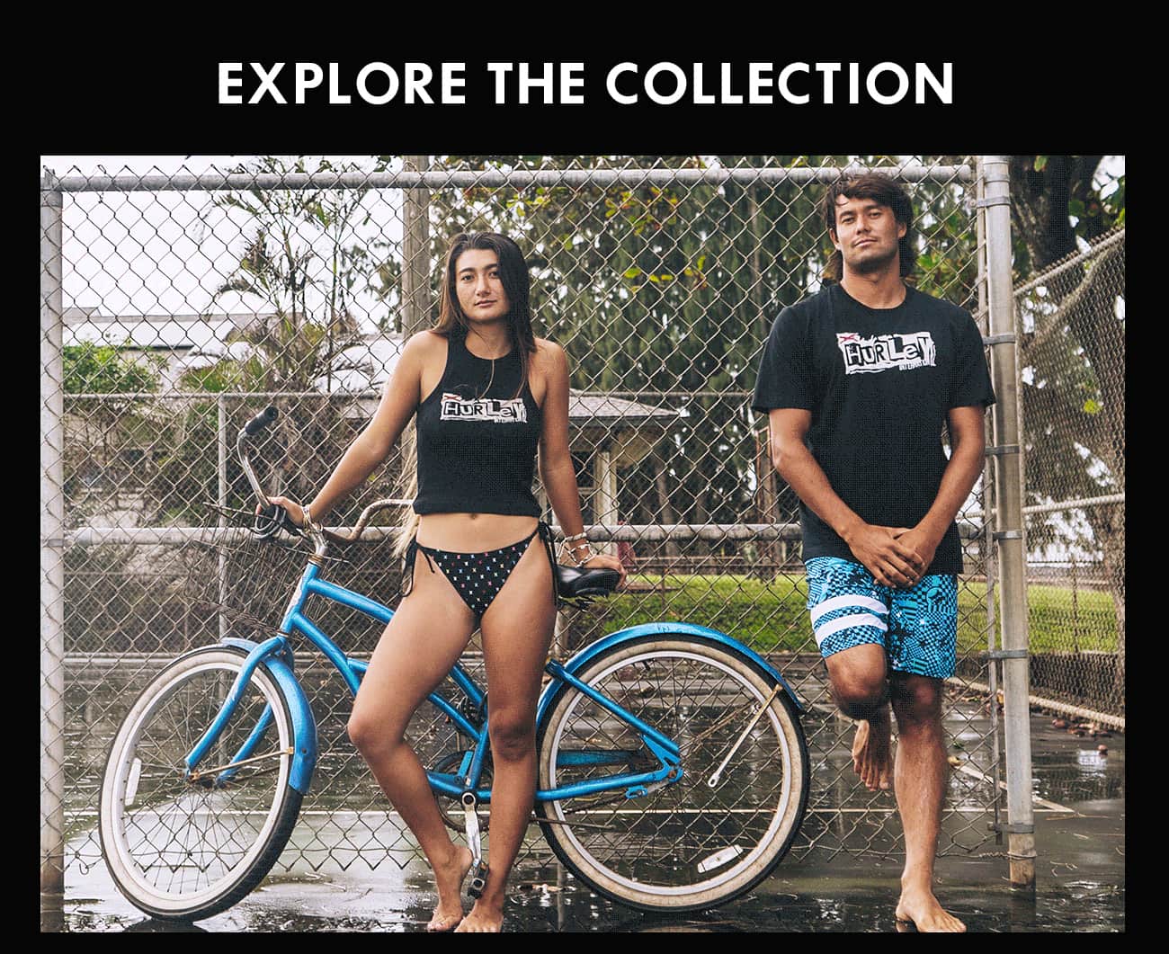 Explore the Collection