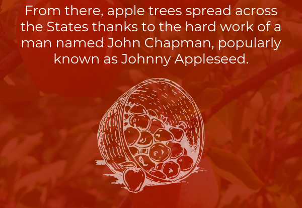 From there, apple trees spread across the States thanks to the hard work of a man named John Chapman, popularly known as Johnny Appleseed.