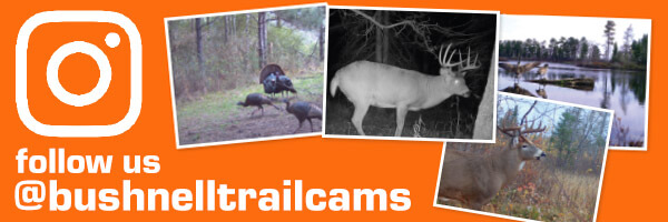 Bushnell Trail Cameras Instagram