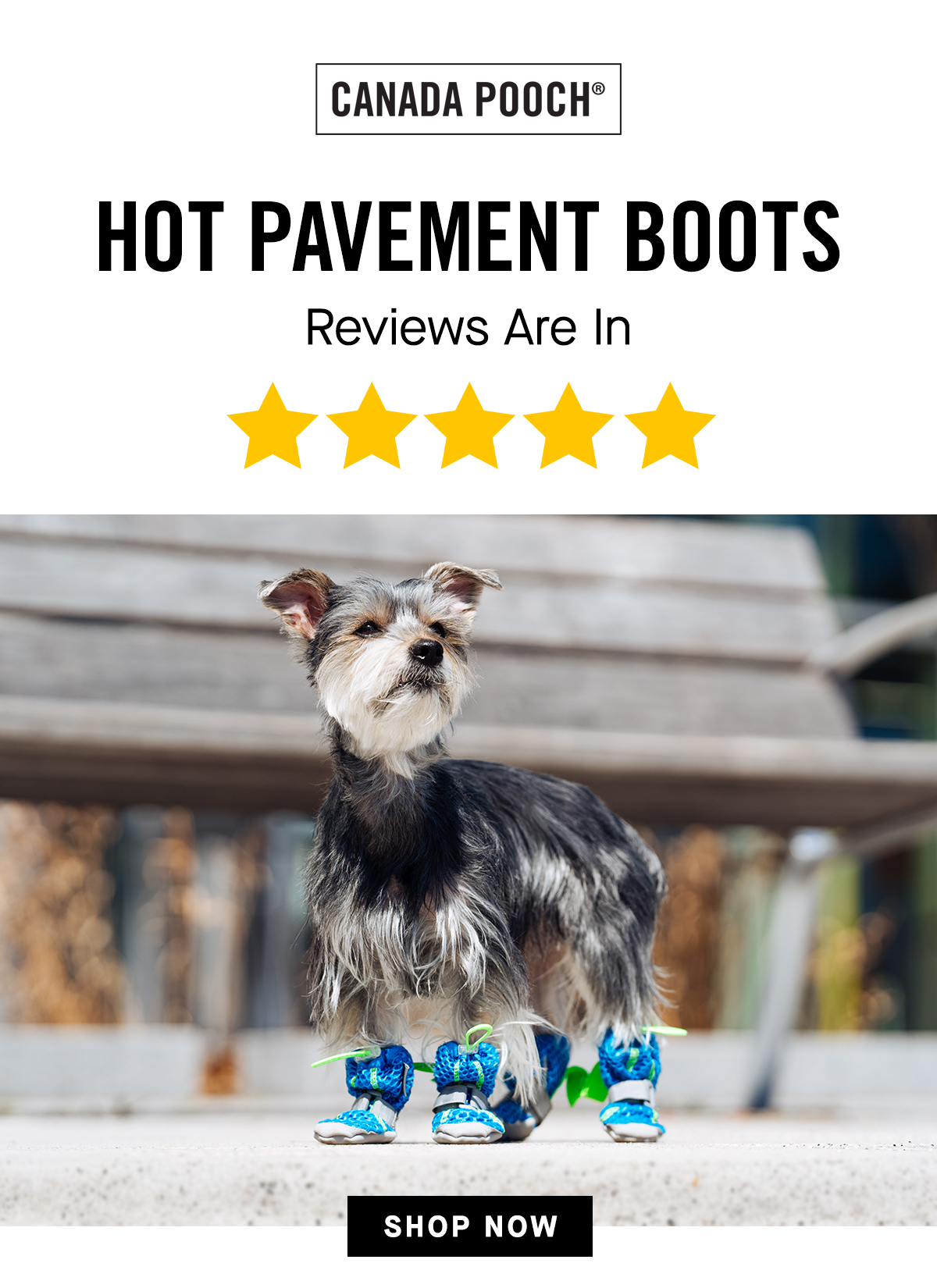 Hot Pavement Boots Reviews Are In