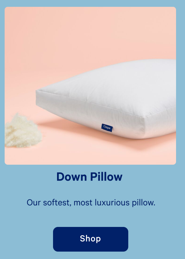 Down Pillow >> Shop >>