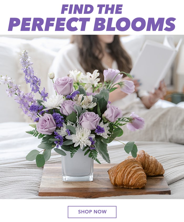 Find the perfect blooms