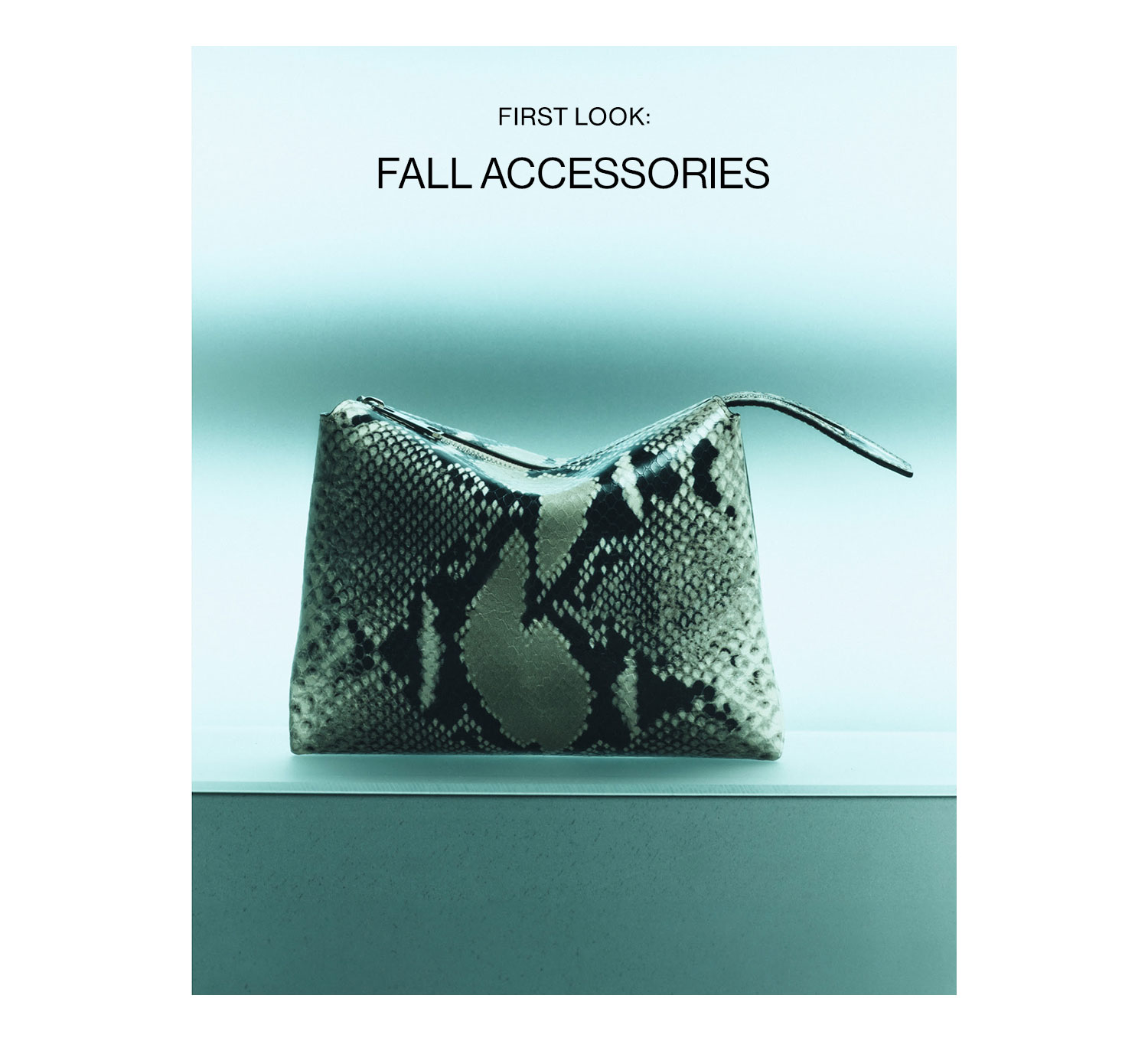 FIRST LOOK: ACCESSORIES