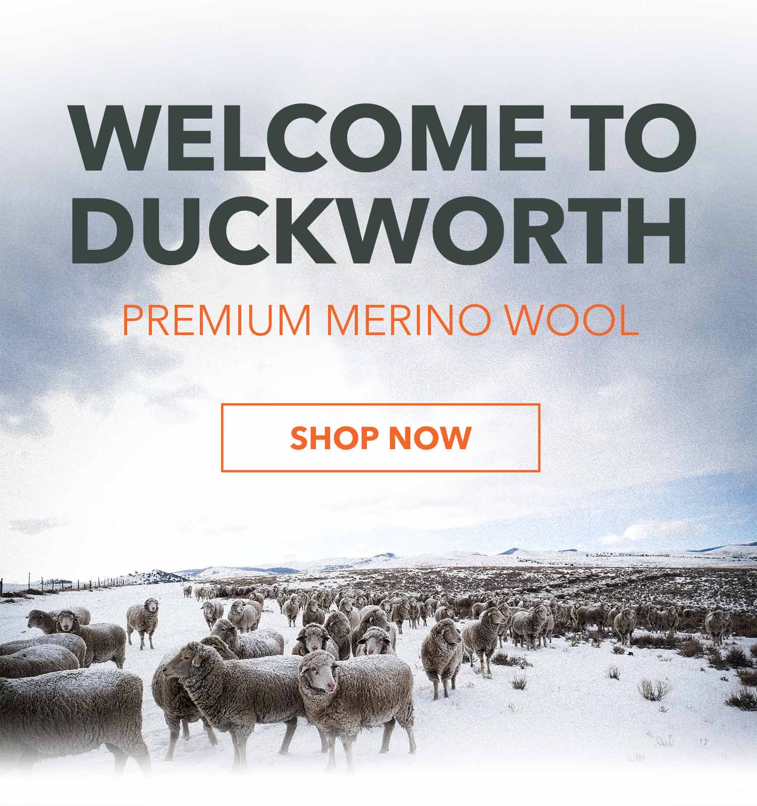 Welcome to Duckworth - Premium Merino Wool