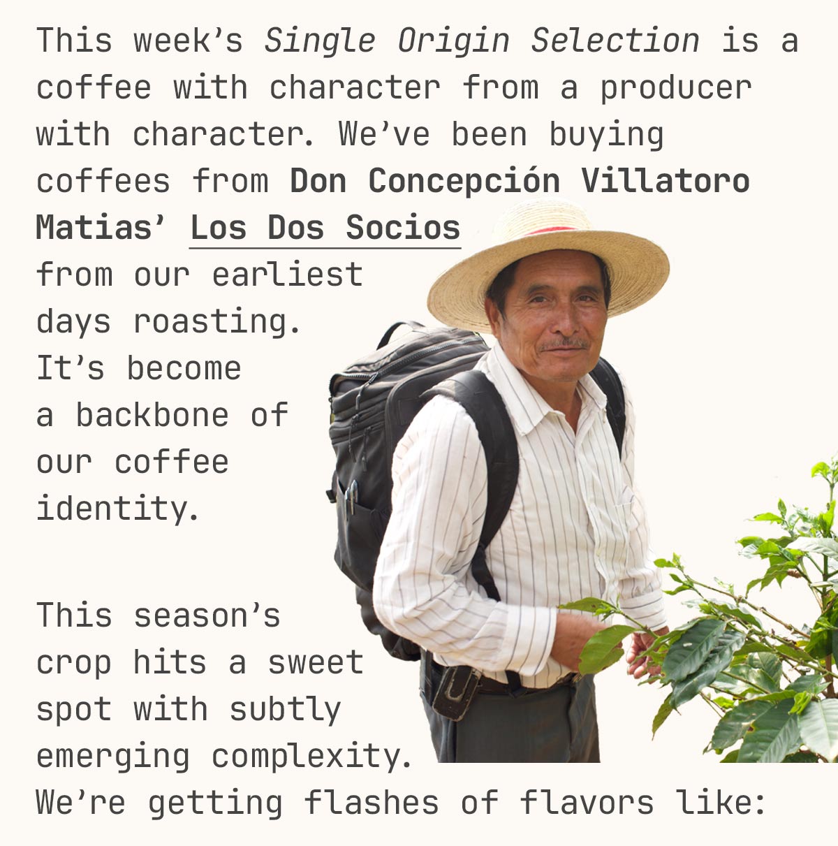 This week’s Single Origin Selection is a coffee with character from a producer with character. We’ve been buying coffees from Don Concepción Villatoro Matias’ Los Dos Socios  from our earliest  days roasting.  It’s become  a backbone of  our coffee  identity.   This season’s  crop hits a sweet  spot with subtly  emerging complexity.  We’re getting flashes of flavors like: