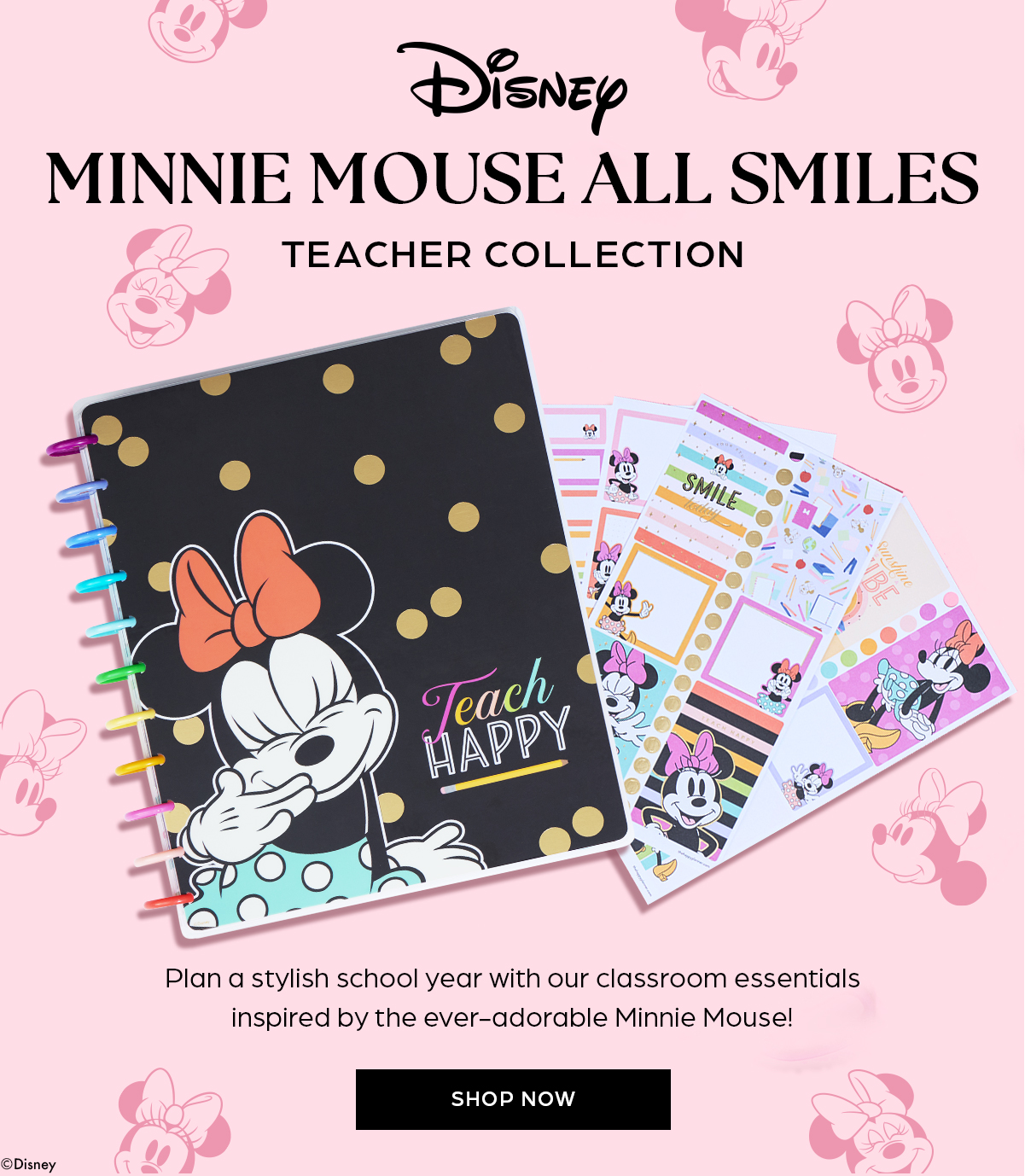 Disney Minnie Mouse All Smiles Teacher Collection