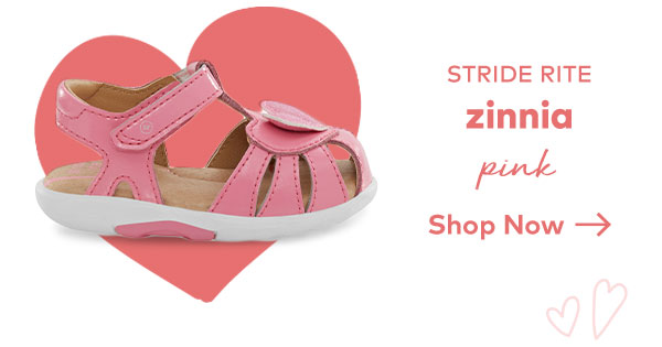 shop zinnia