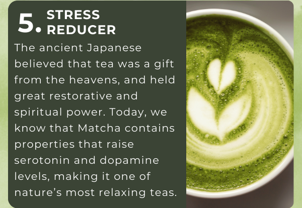 .5 Stress Reducer: The ancient Japanese believed that tea was a gift from the heavens, and held great restorative and spiritual power. Today, we know that Matcha contains properties that raise serotonin and dopamine levels, making it one of nature’s most relaxing teas.