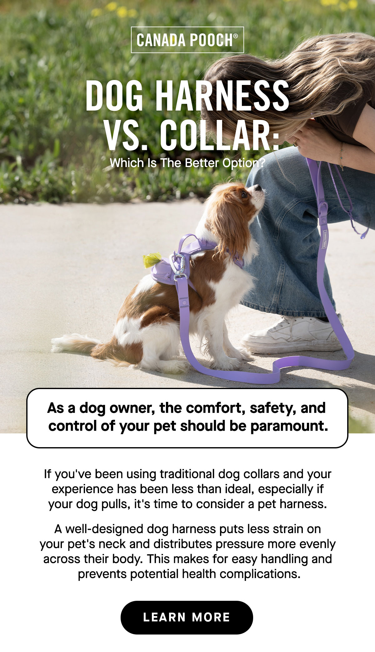 Dog Harness vs. Collar: Which is the Better Option?