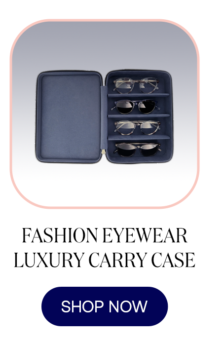 CARRY CASE