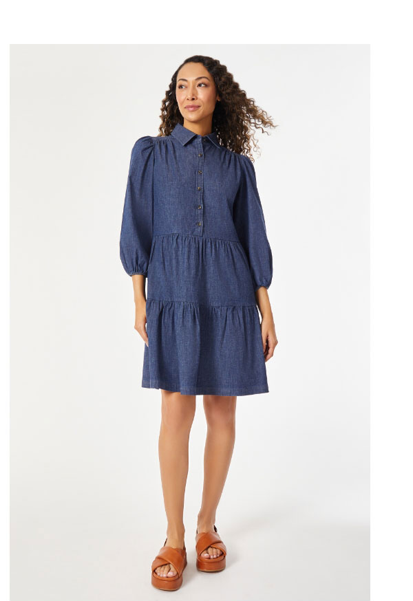 Denim Button Front Belted Dress