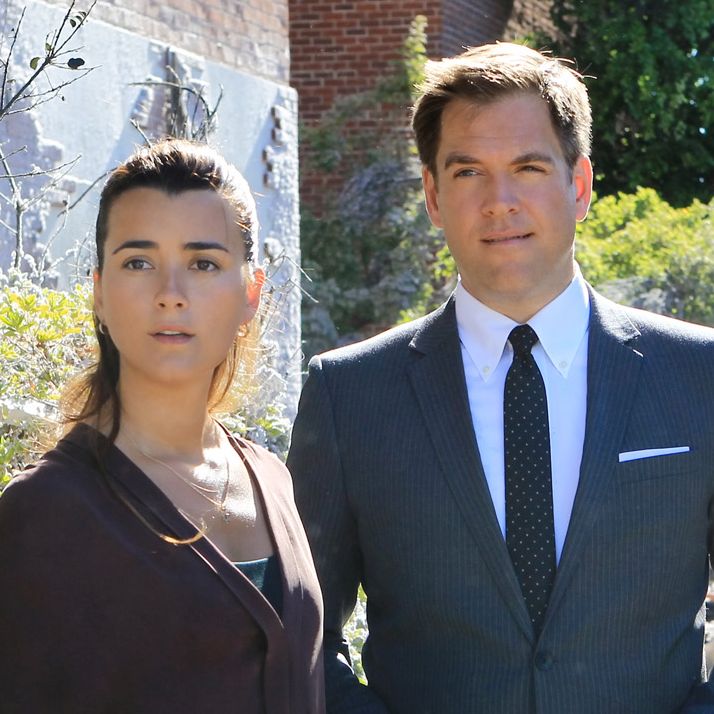 'NCIS' Fans Rejoice Over Michael Weatherly and Cote de Pablo's Surprise News