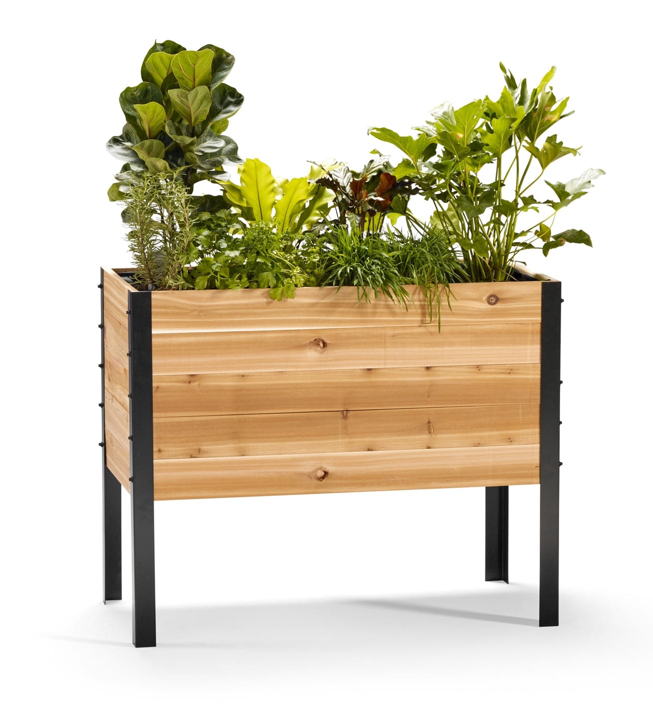 Image of 18" x 36" Raised Garden Bed