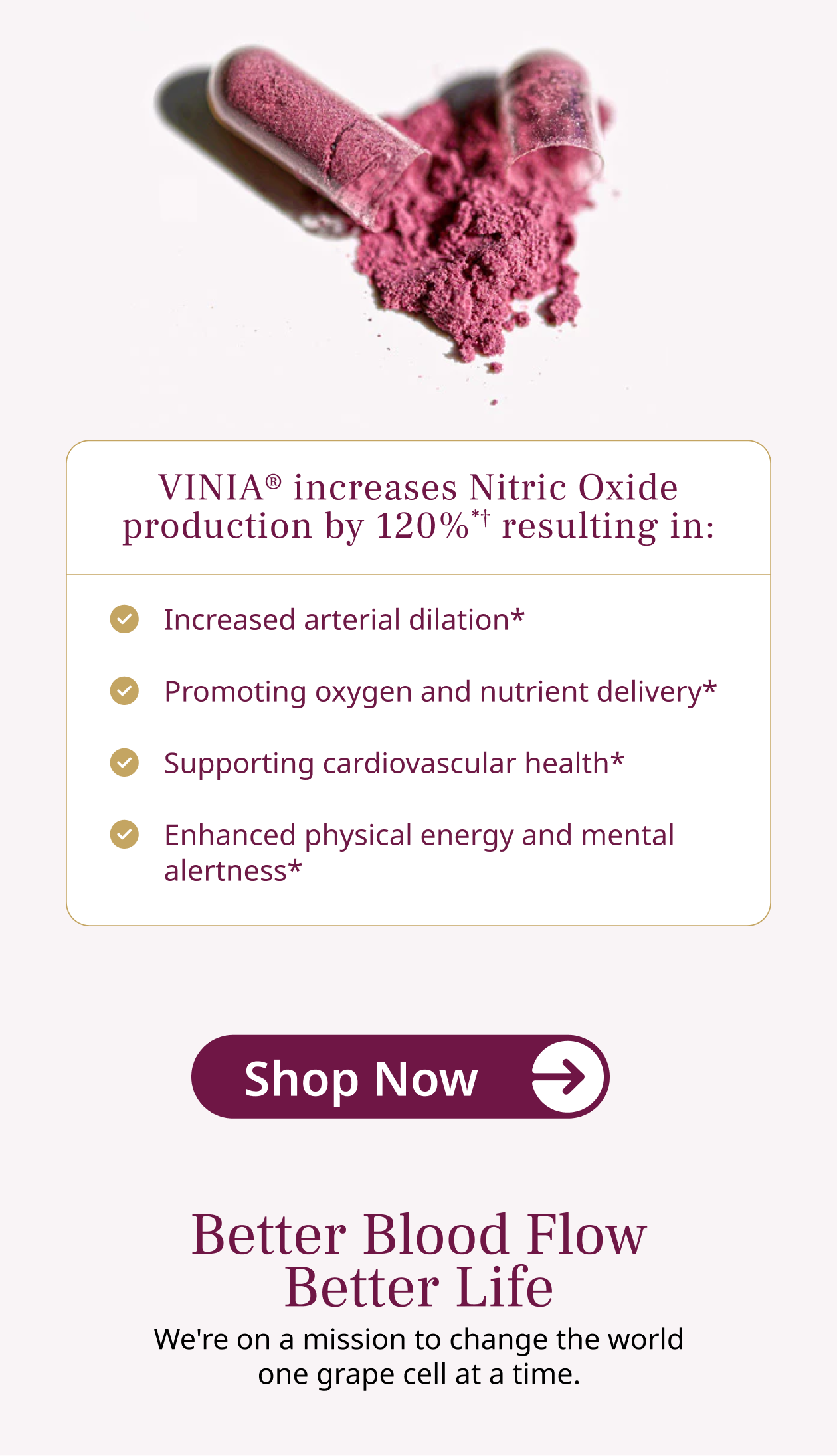 VINIA increases Nitric Oxide production by 120%