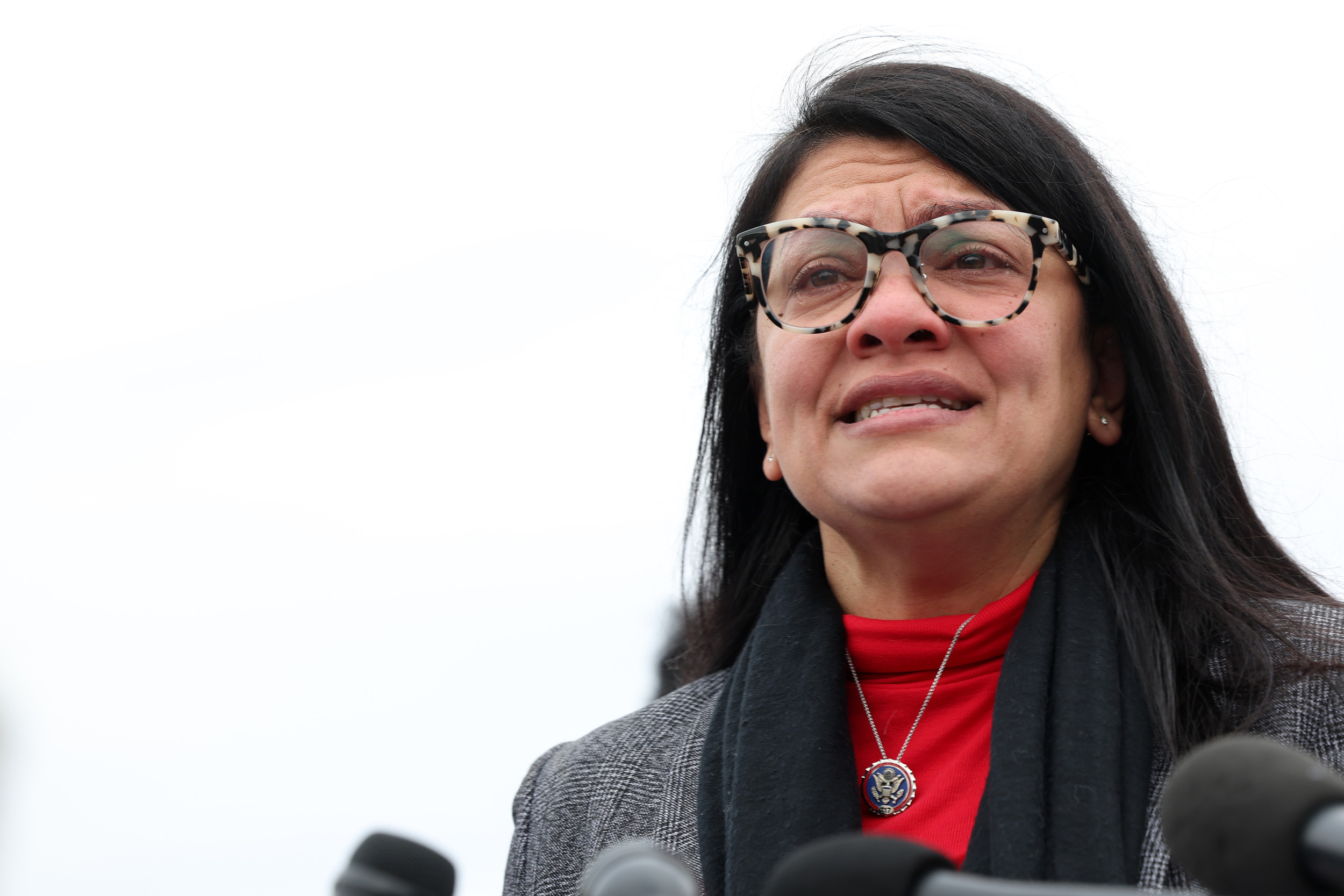 Photo: Rashida Tlaib Blasted Over Hamas Rape Vote: 'Absolute Sicko'