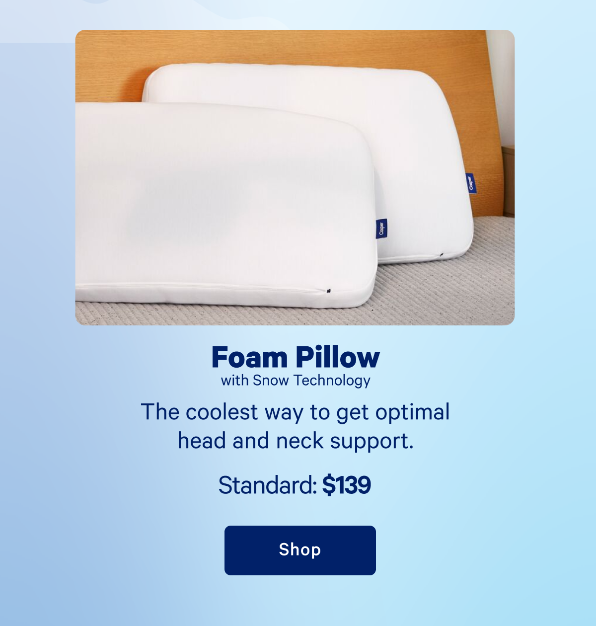 Foam Pillow with Snow Technology >> Shop >>