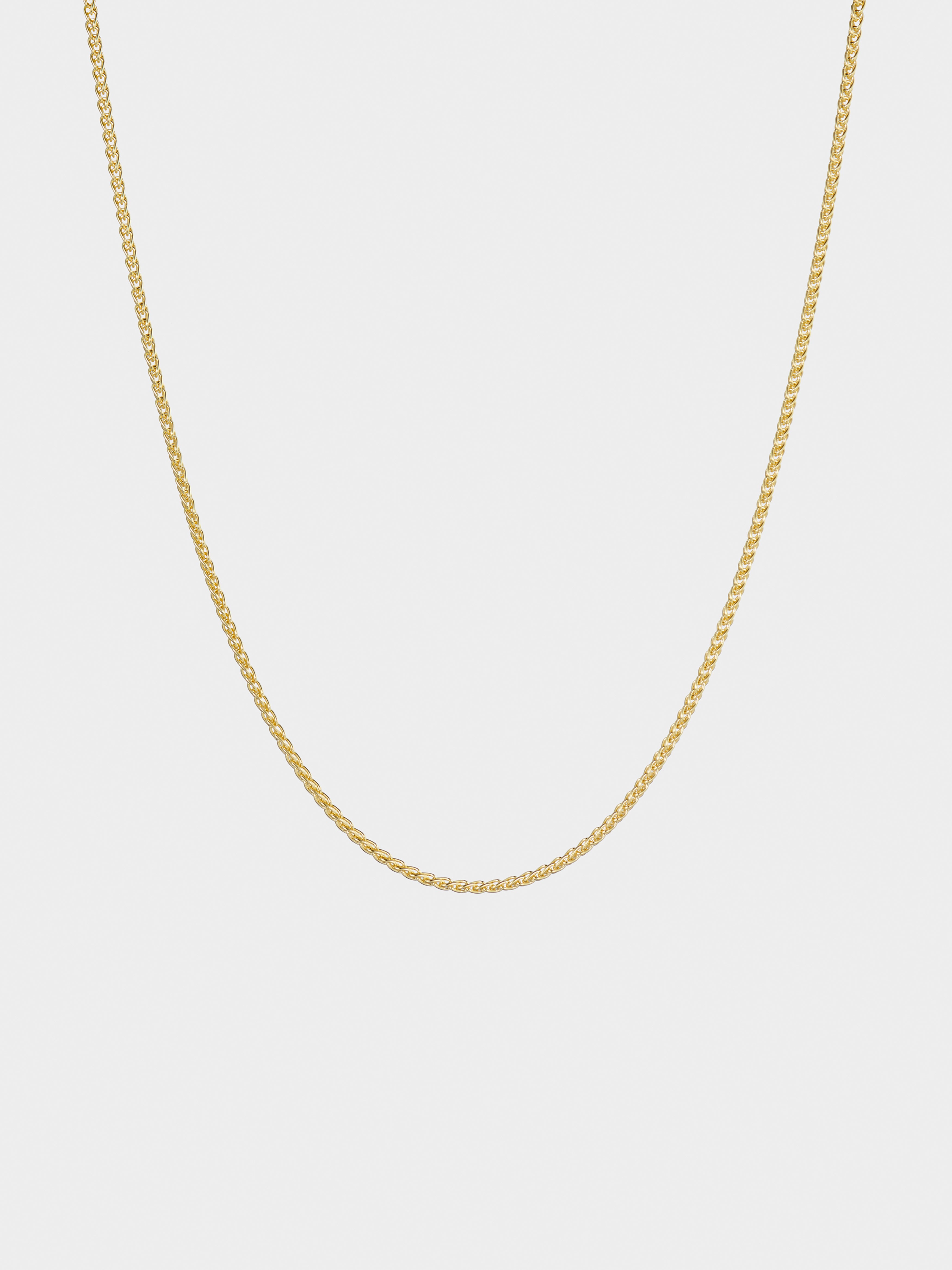 Image of Classic Gold Rope Chain