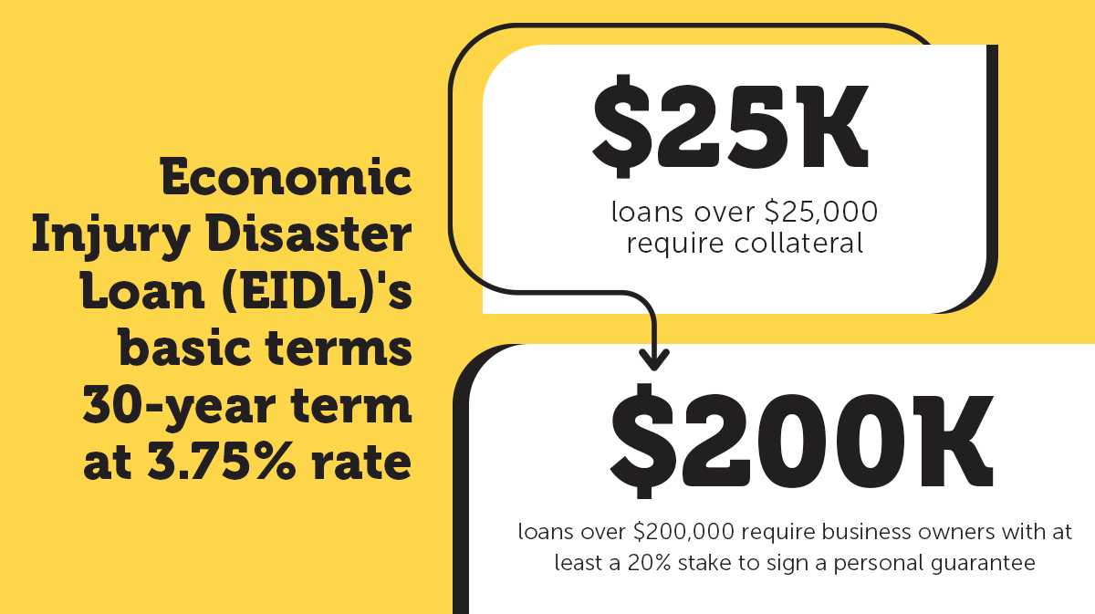 🏛️ Is SBA Bureaucracy Bankrupting Small Businesses? It’s Not That Simple.