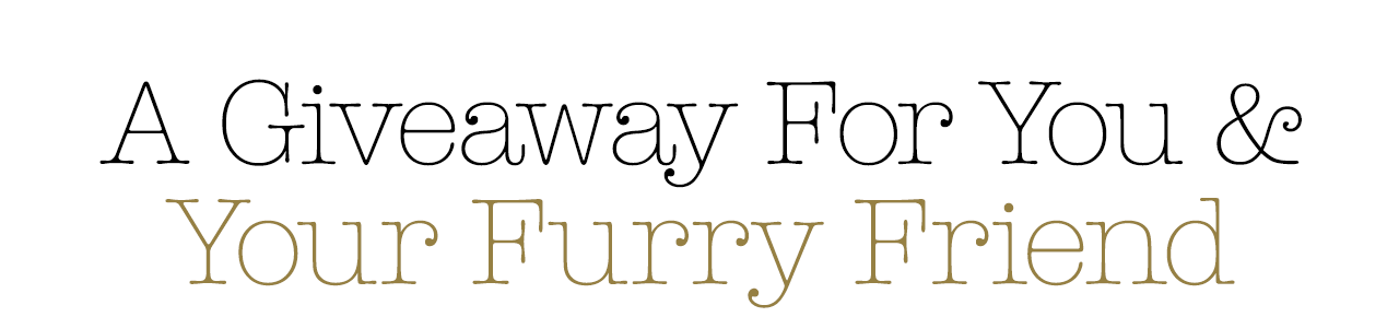 A Giveaway For You & Your Furry Friend