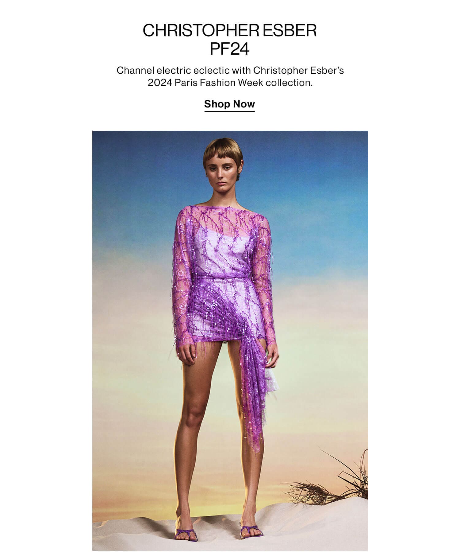 Christopher Esber PF24: Channel electric eclectic with Christopher Esber’s 2024 Paris Fashion Week collection. Shop Now