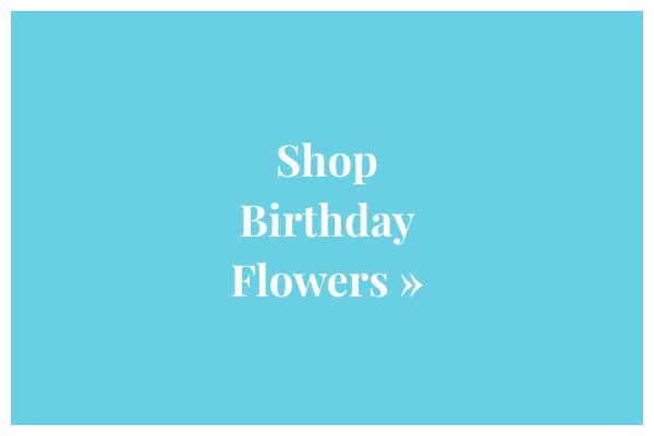 Shop Birthday Flowers »