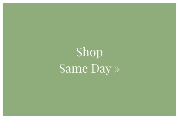 Shop Same Day »