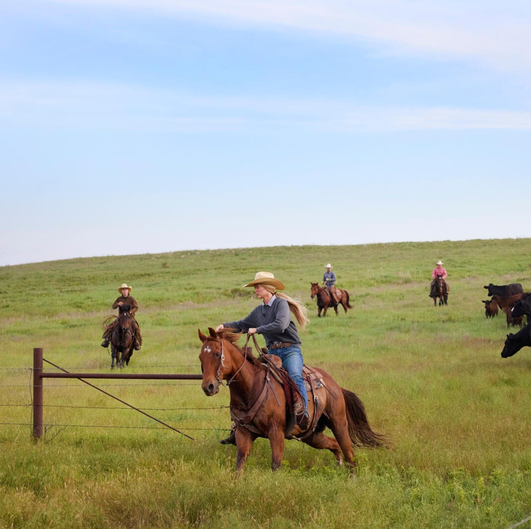 Paige's New Job as a Drummond Ranch Cowgirl