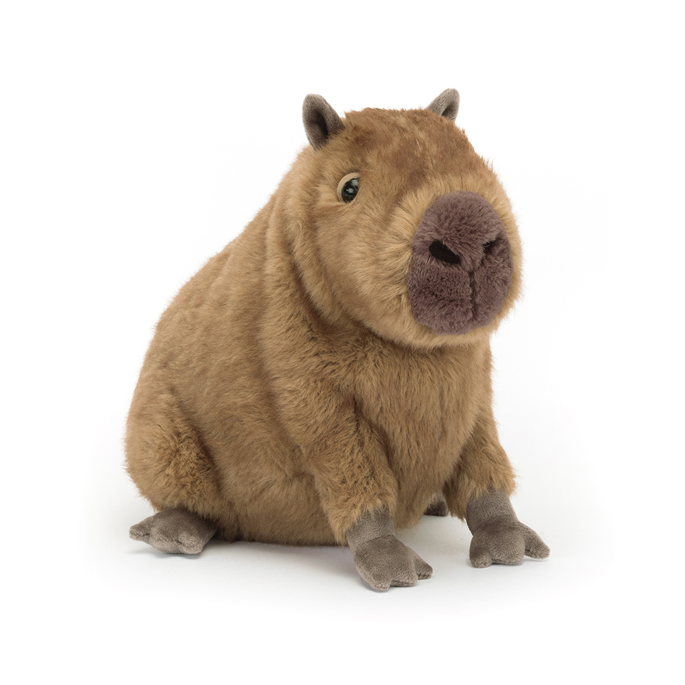 Clyde-Capybara