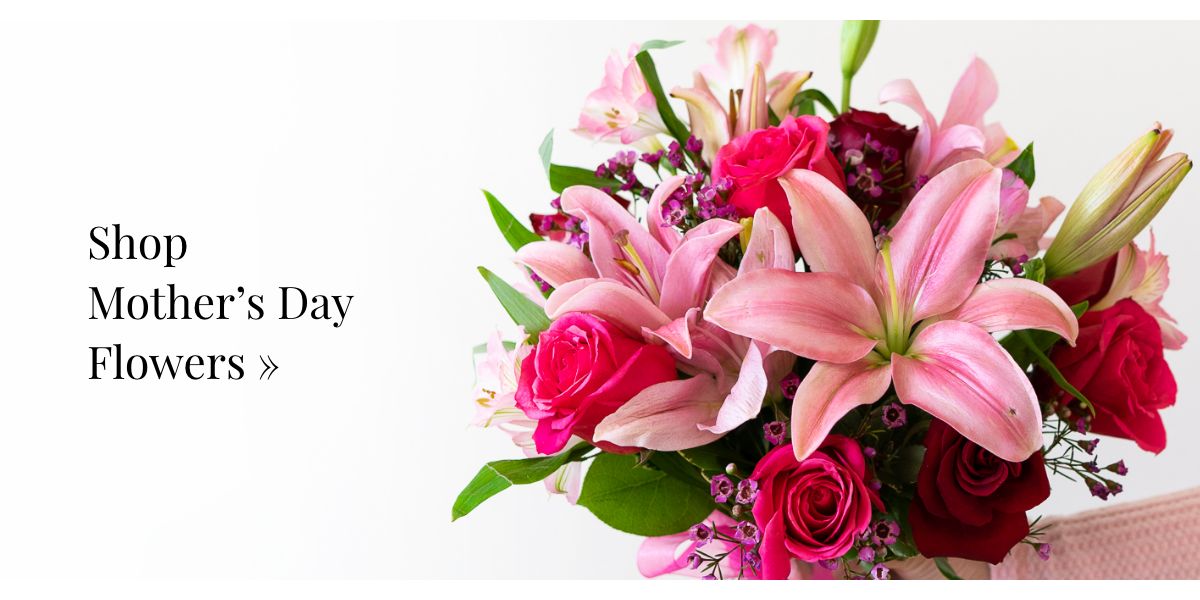 Shop Mother's Day Flowers »