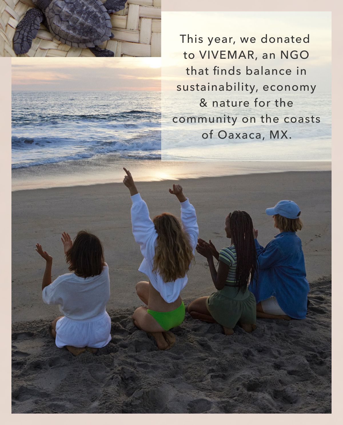 This year, we donated to VIVEMAR, an NGO that finds balance in sustainability, economy & nature for the community on the coasts of Oaxaca, MX.