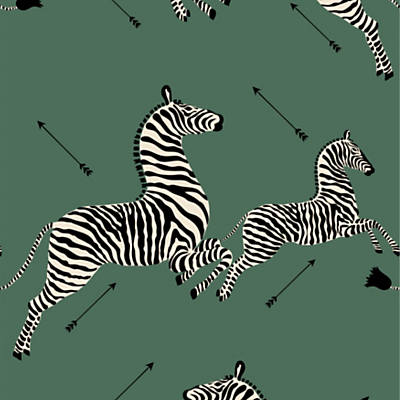 Dancing Zebra