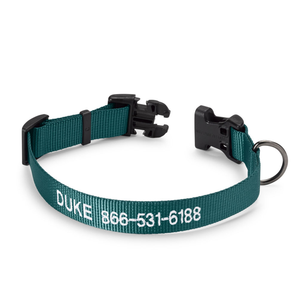  Personalized Side-Release Buckle Collar