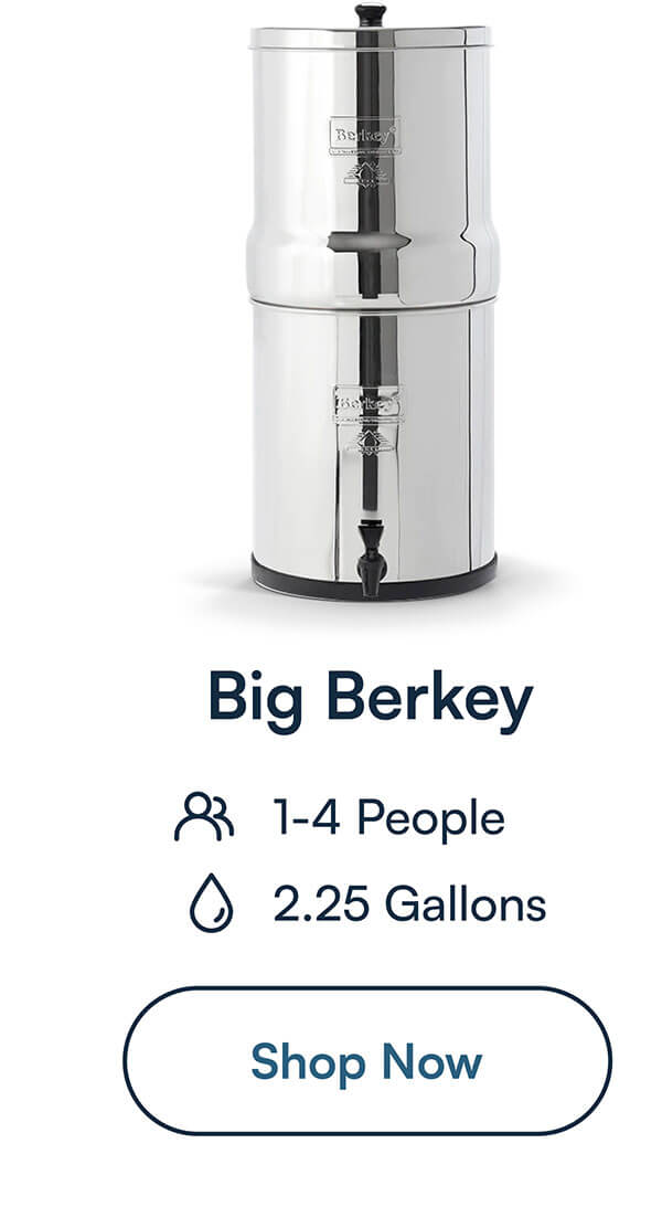 Big Berkey