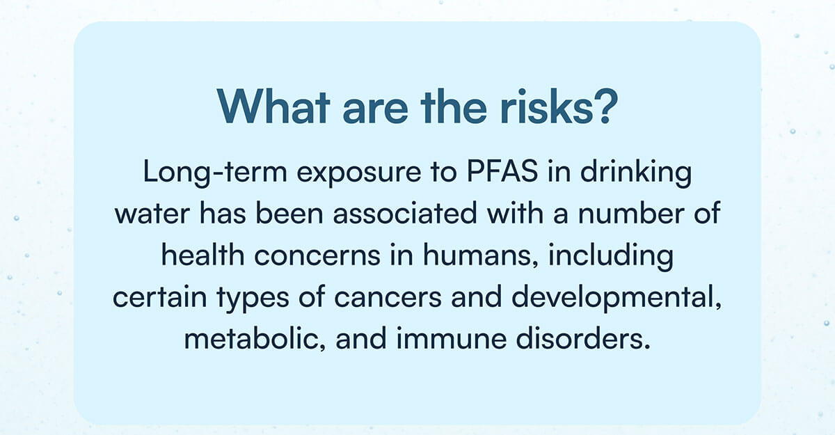 What are the risks? Long-term exposure to PFAS in drinking water has been associated with a number of health concerns in humans, including certain types of cancers and developmental, metabolic, and immune disorders.