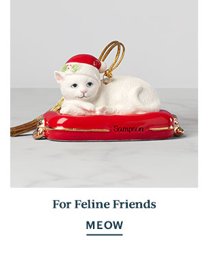 For Feline Friends  MEOW