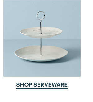 SHOP SERVEWARE