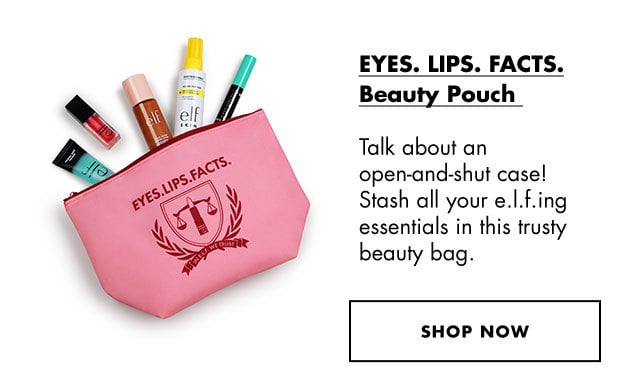 beauty pouch