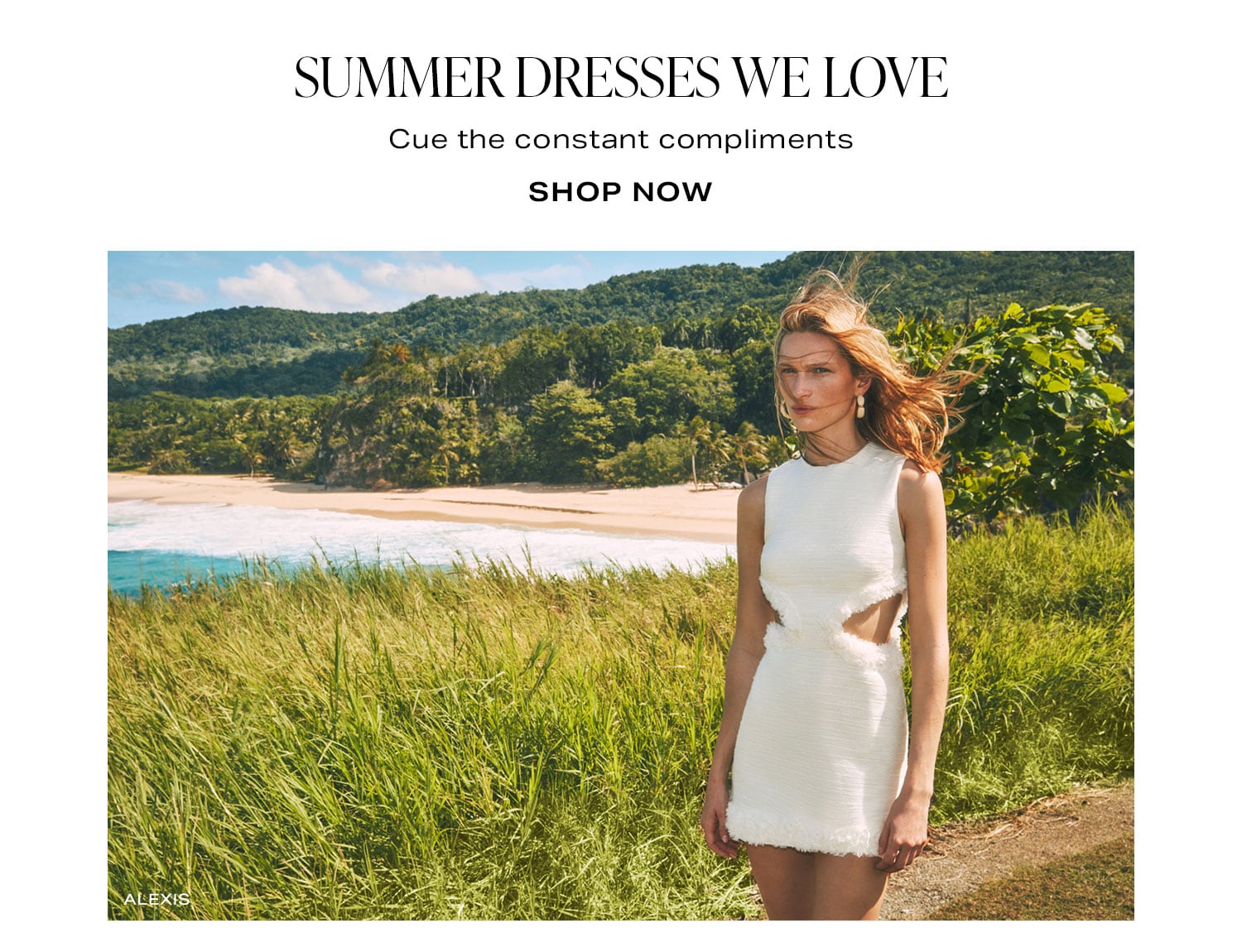 Summer Dresses We Love. Shop Now. 