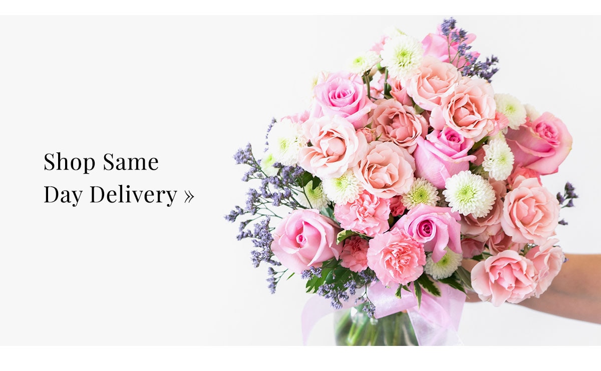 Shop Same Day Delivery »