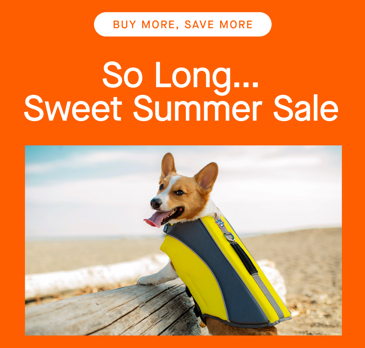 So Long... Sweet Summer Sale