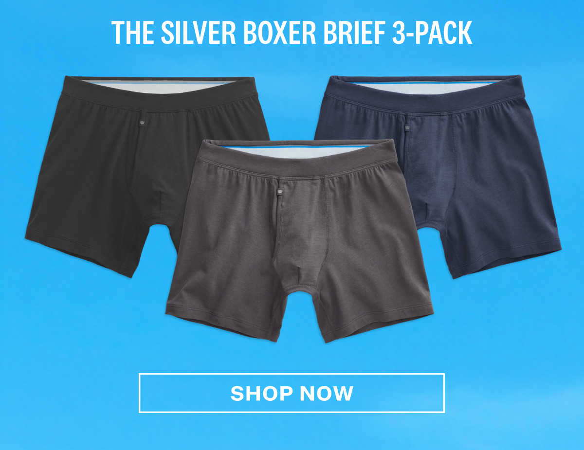 3-Pack SILVER Boxer Briefs