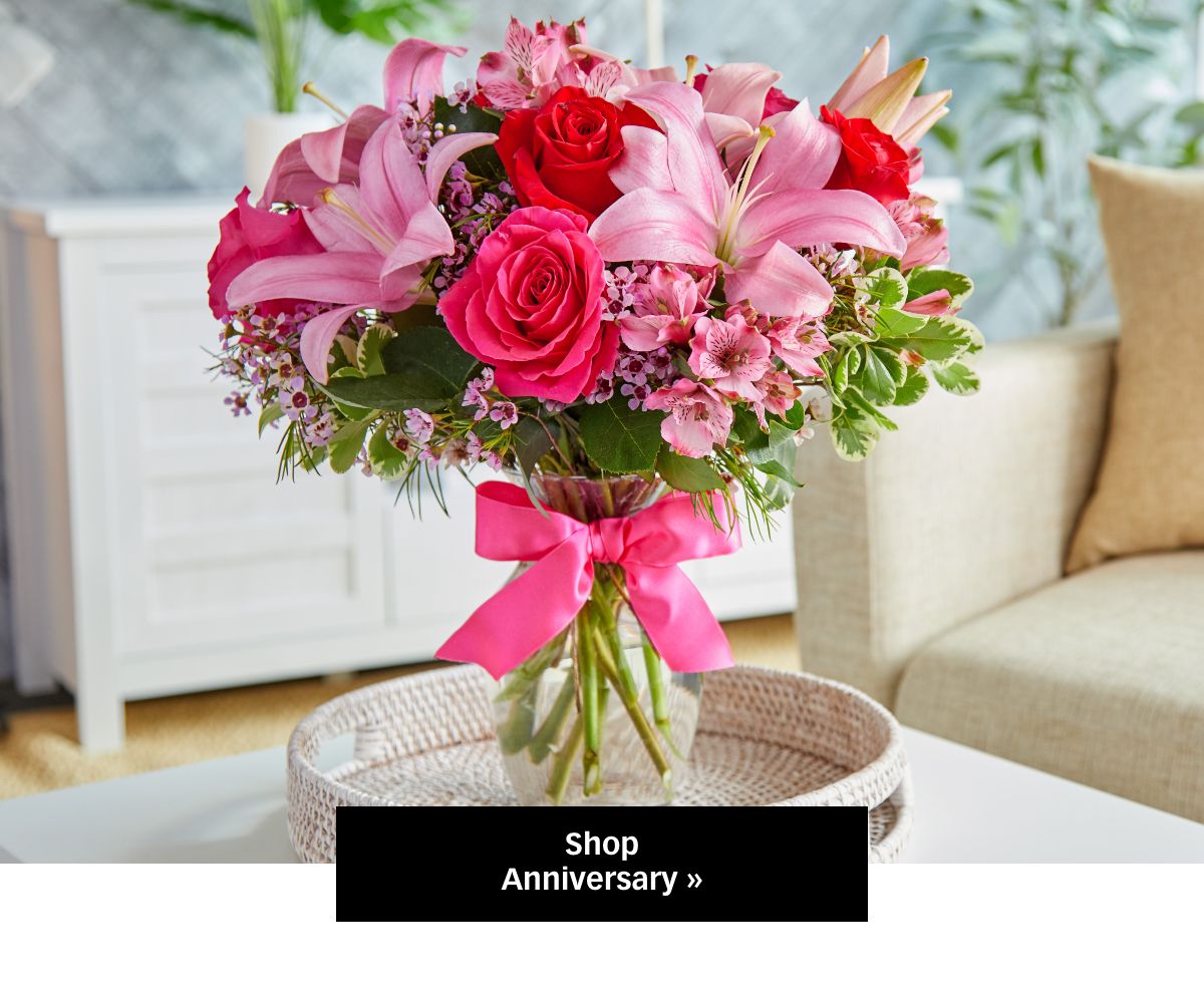 Shop Anniversary »