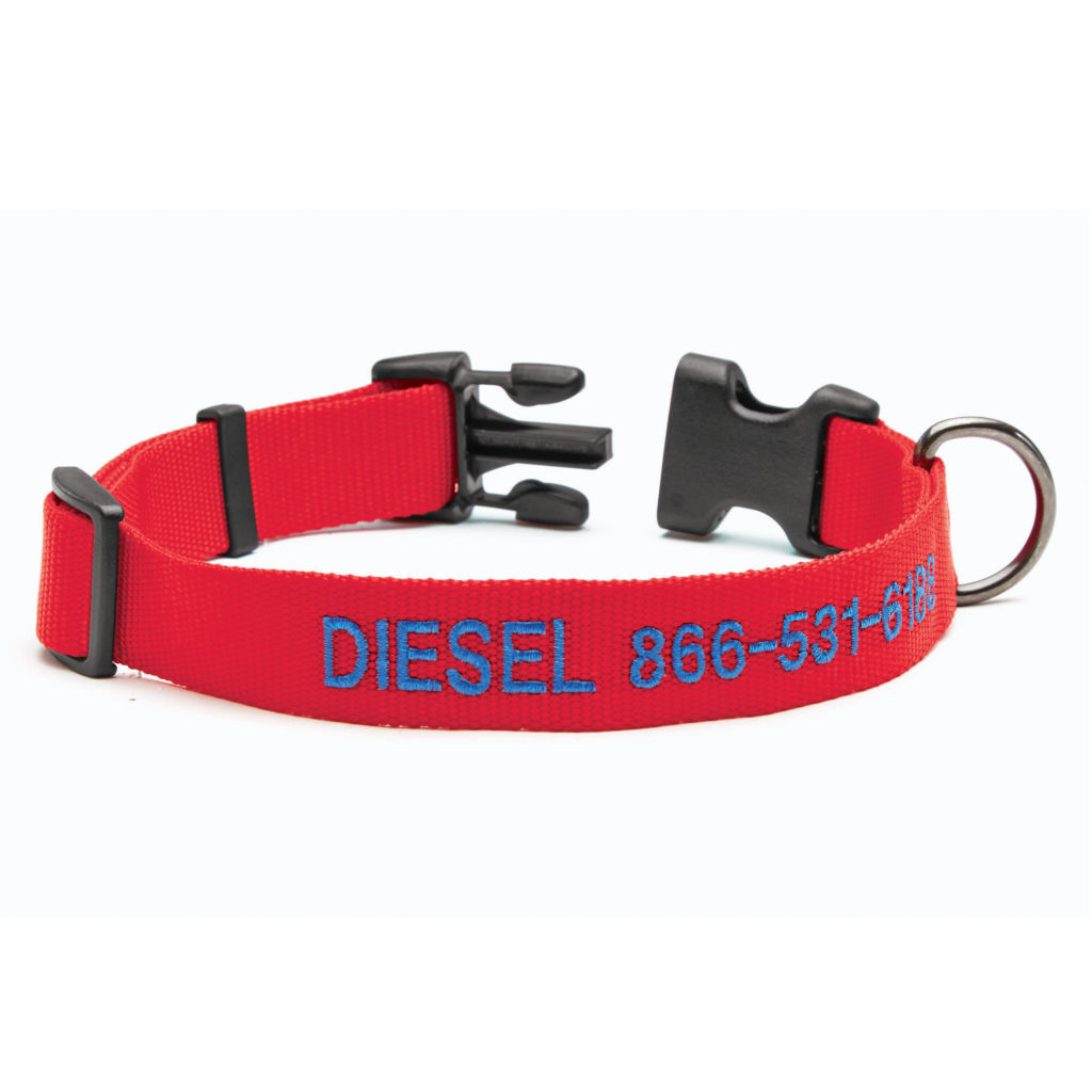  Personalized Side-Release Buckle Collar