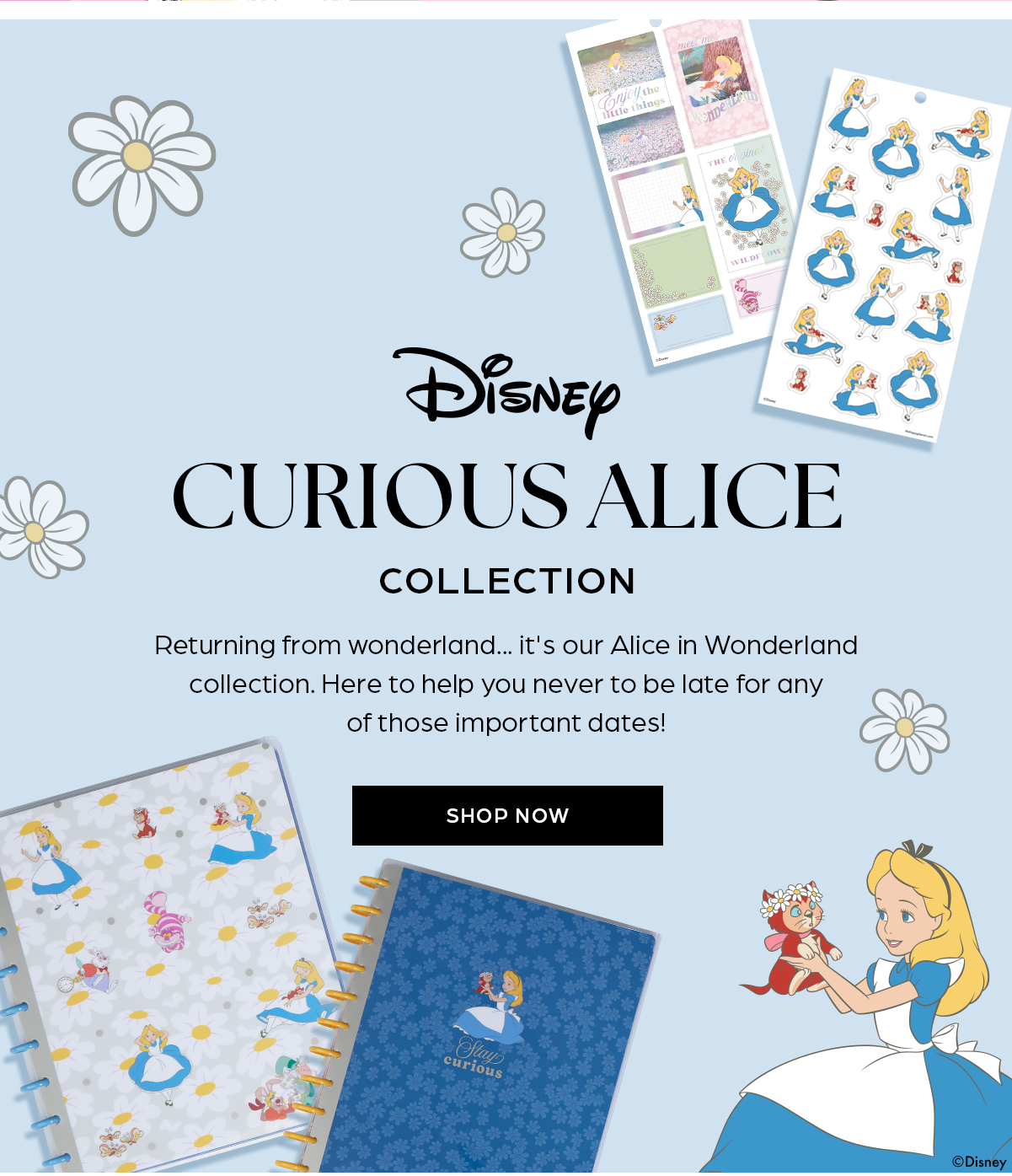 Disney Curious Alice Collection