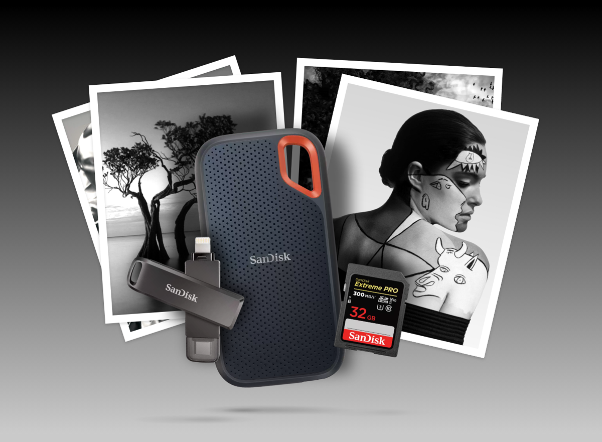 SanDisk & SanDisk Professional products in front of photographs