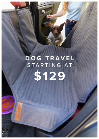 Dog Travel Starting at $129