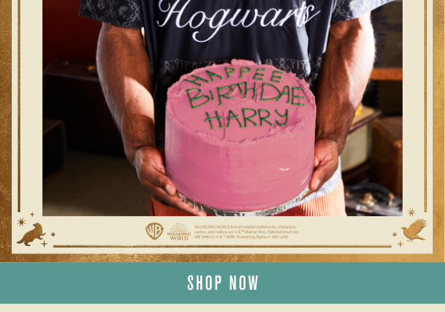 Harry Potter Shop Now