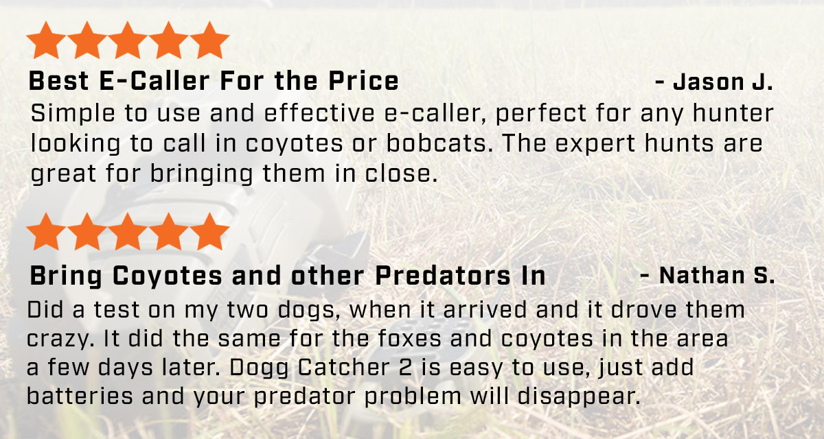 Customer Reviews of the Dogg Catcher 2