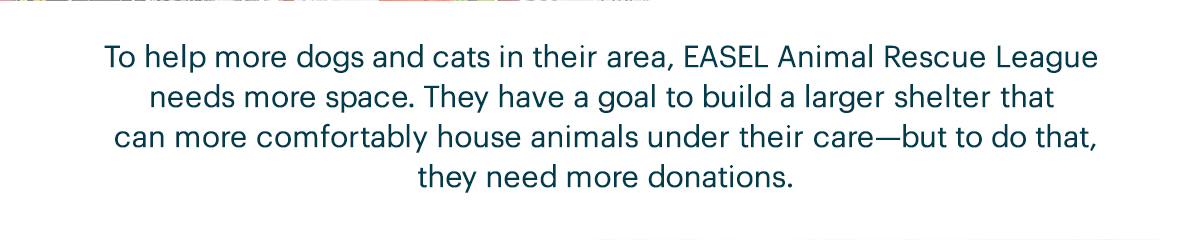 To help more dogs and cats in their area, EASEL Animal Rescue League needs more space. They have a goal to build a larger shelter that can more comfortably house animals under their care—but to do that, they need more donations.