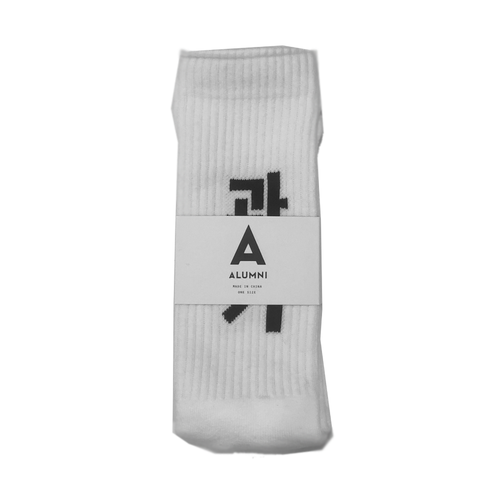 Image of Alumni X N/A - Future Past Socks